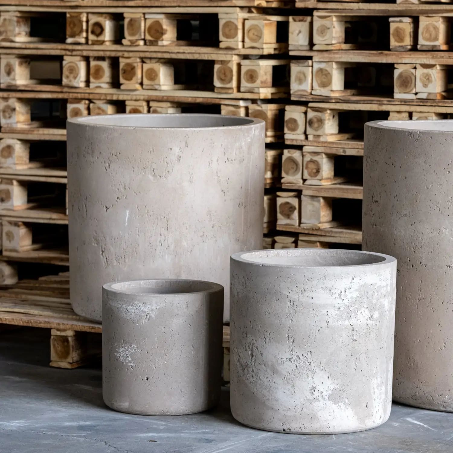Cylindrical concrete planters.