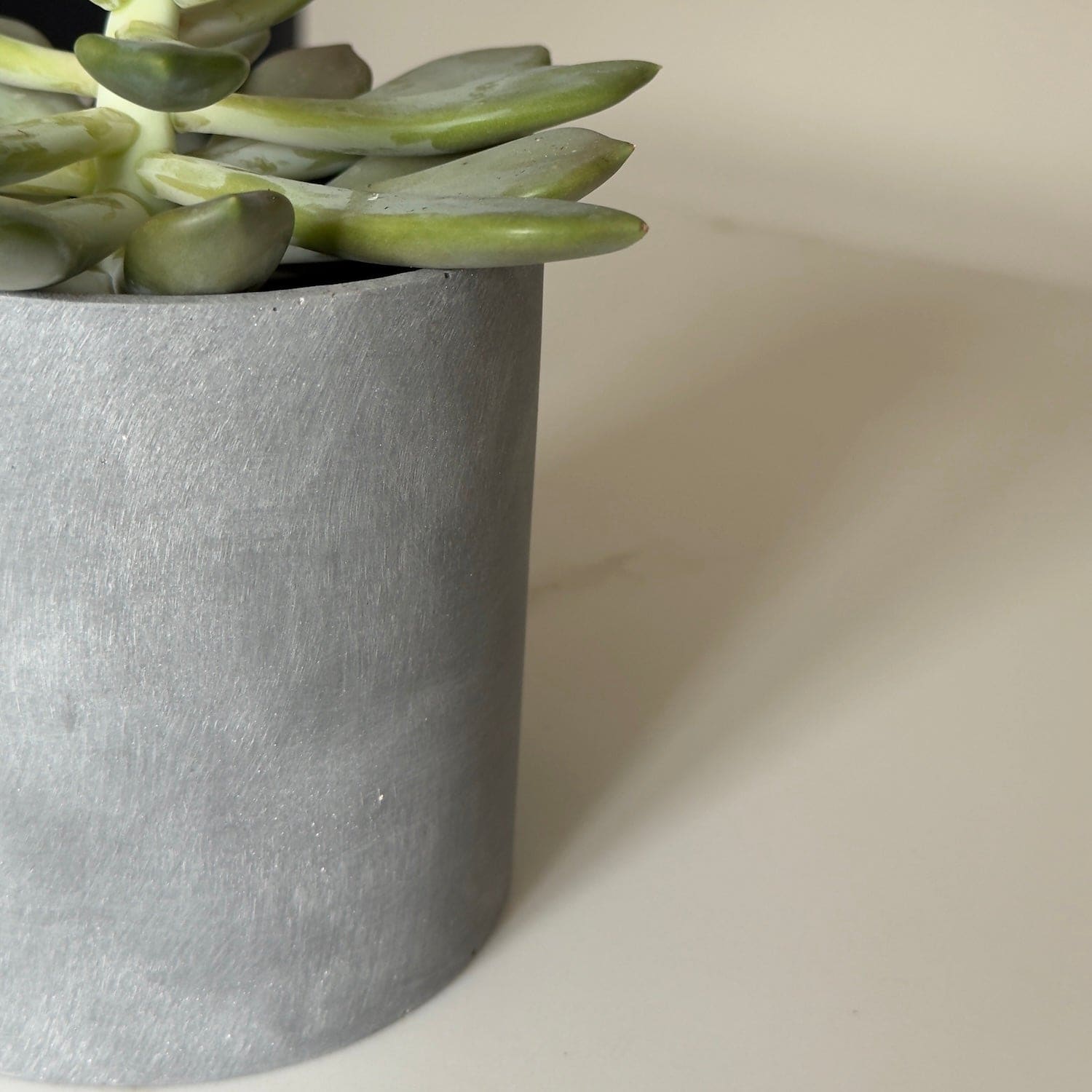 Aurello | Brushed Grey Stone Resin Indoor Plant Pots (Set of 2)
