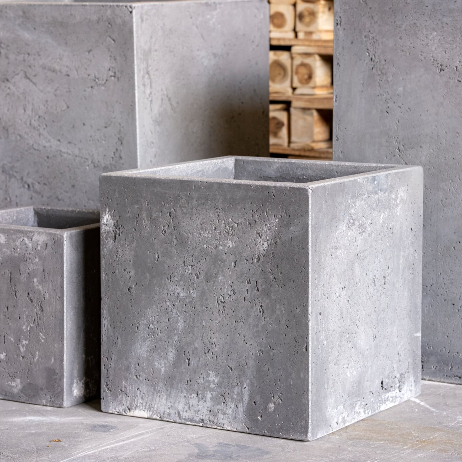 Gray concrete cube planters.