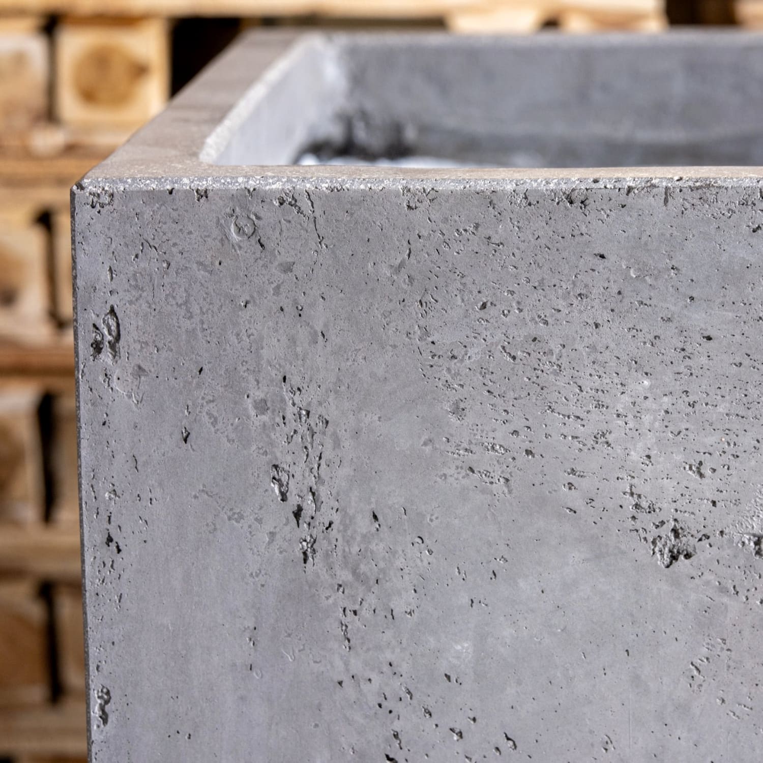 Gray concrete planter.