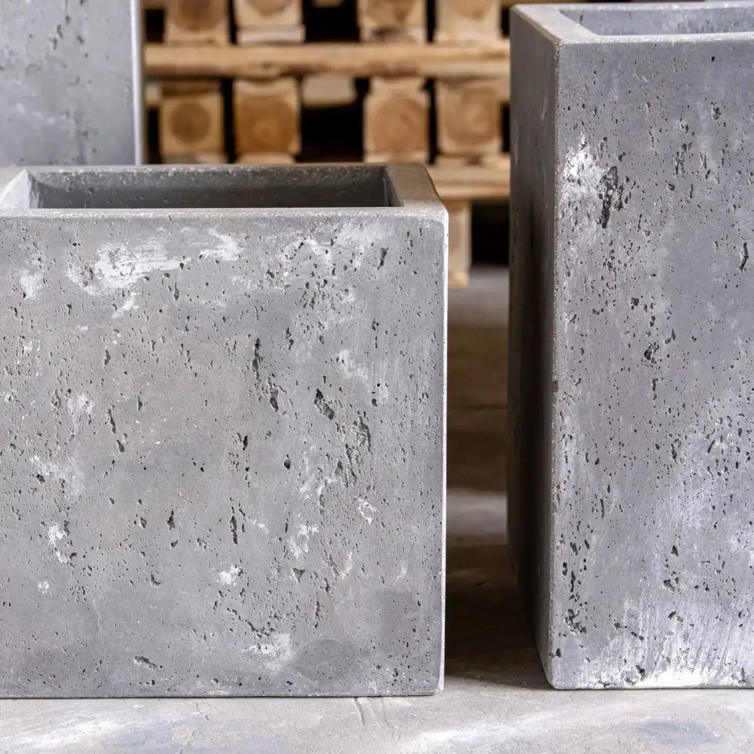 Gray concrete cube planters.