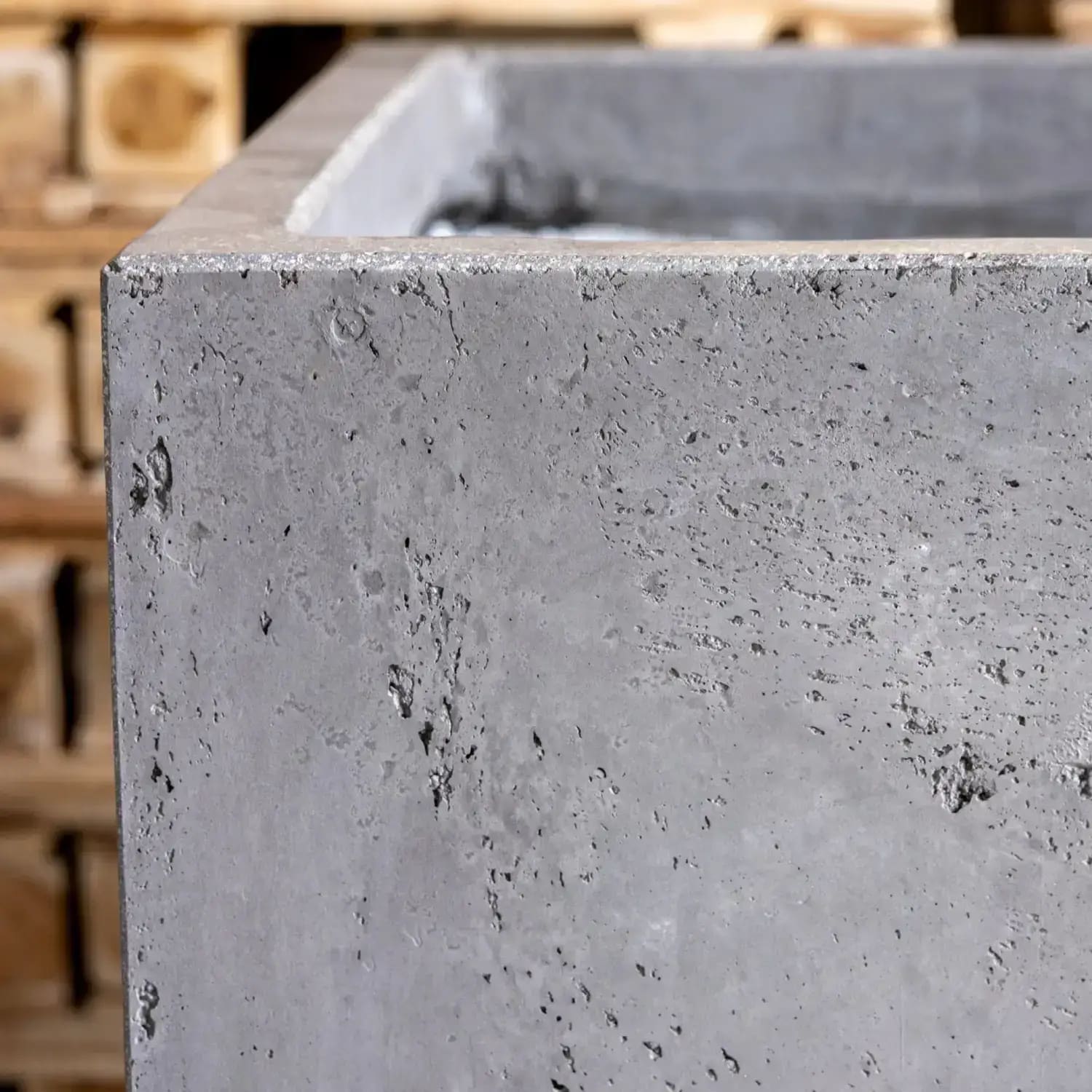 Gray concrete planter.