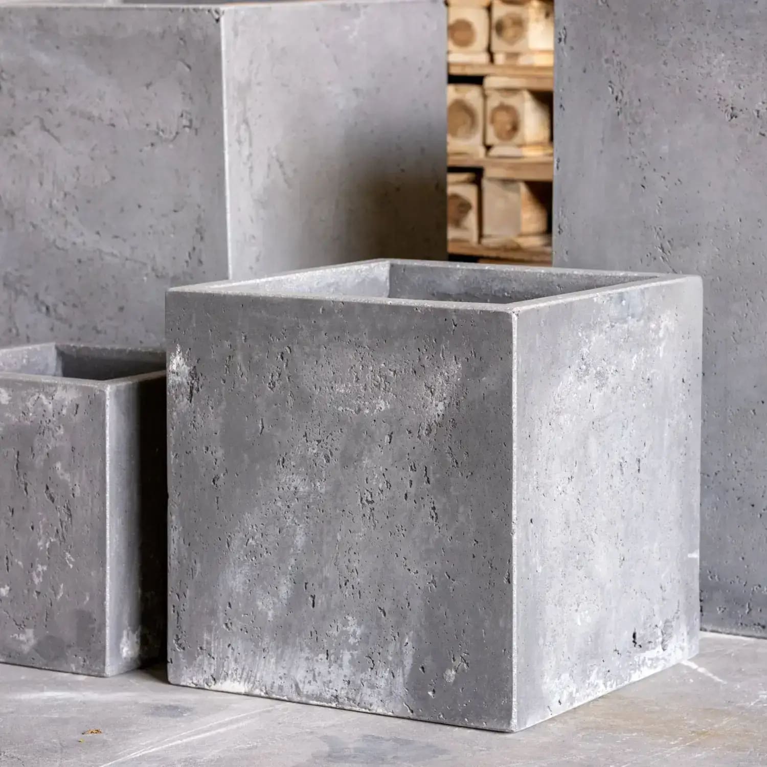 Gray concrete cube planters.