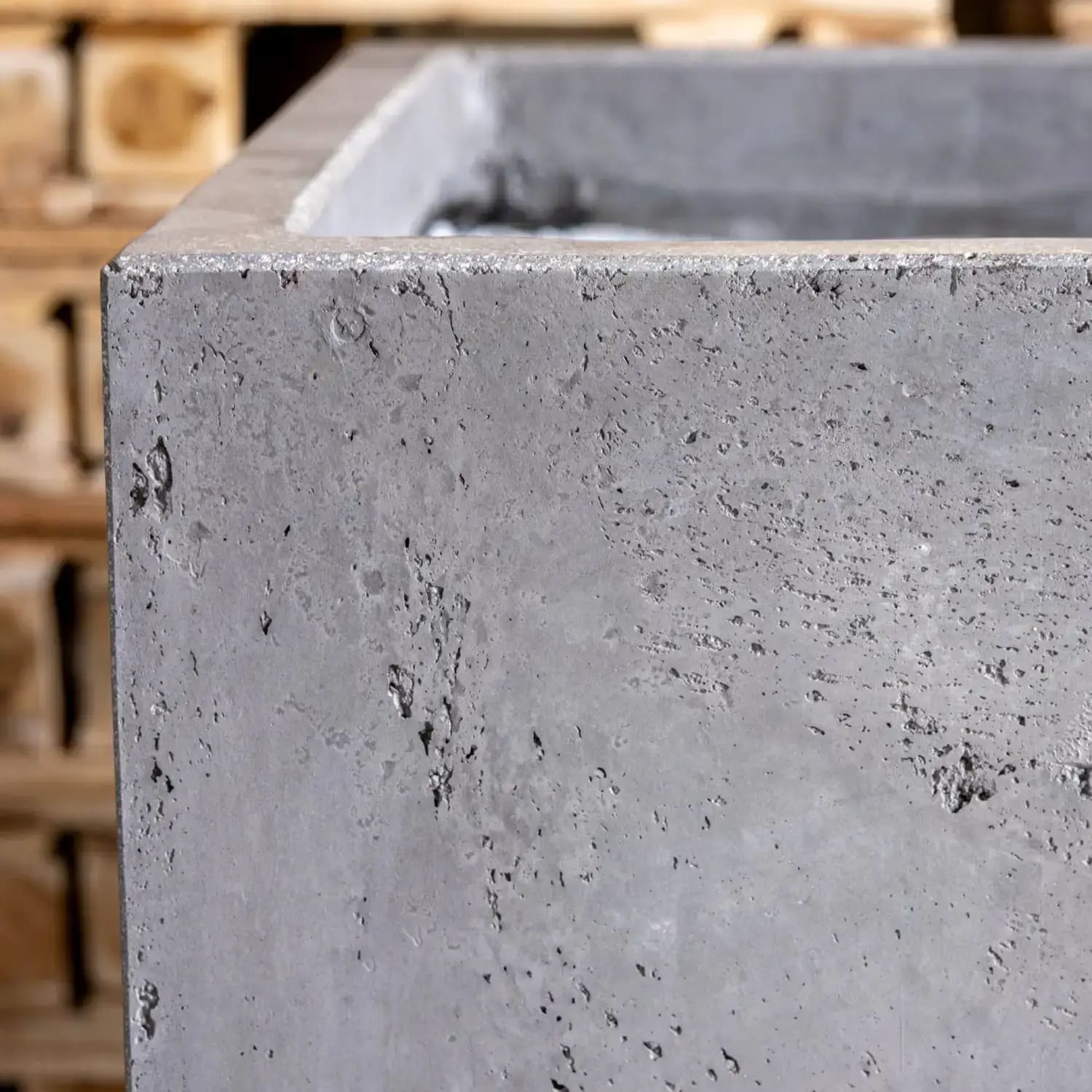Gray concrete planter.