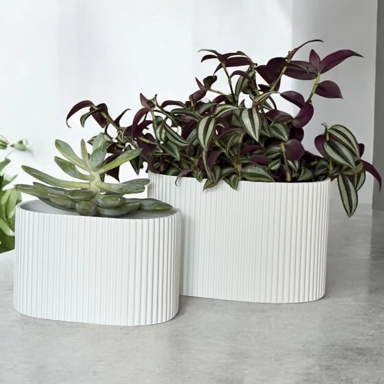 Two white ribbed planters, one holding a green succulent and the other filled with purple-leafed plants.