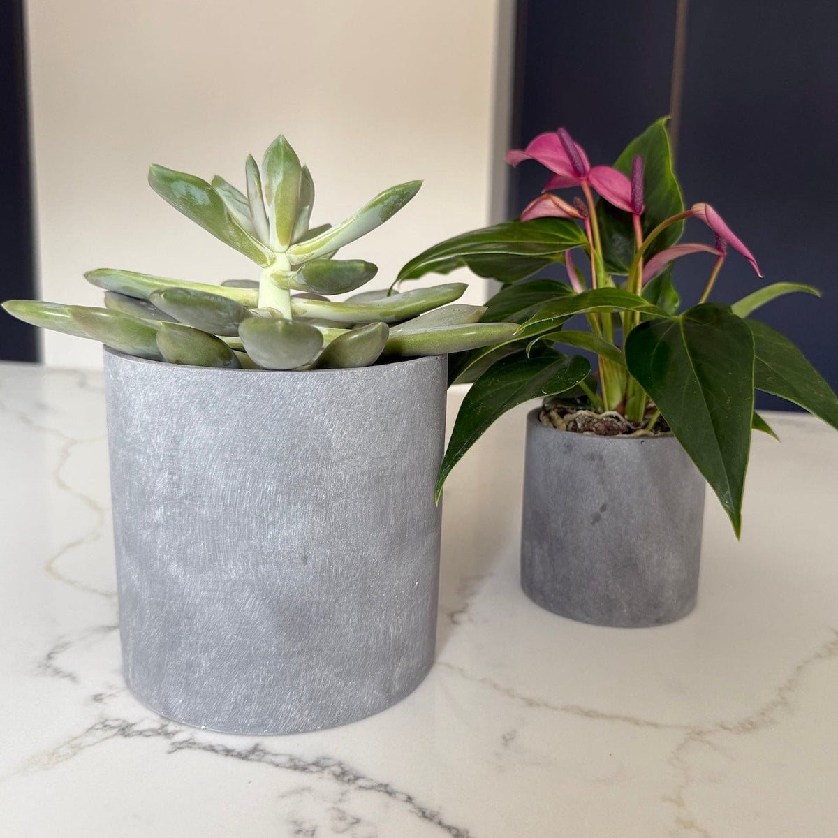 square planter indoor Viva Square Self-Watering Rolling Planter, 20