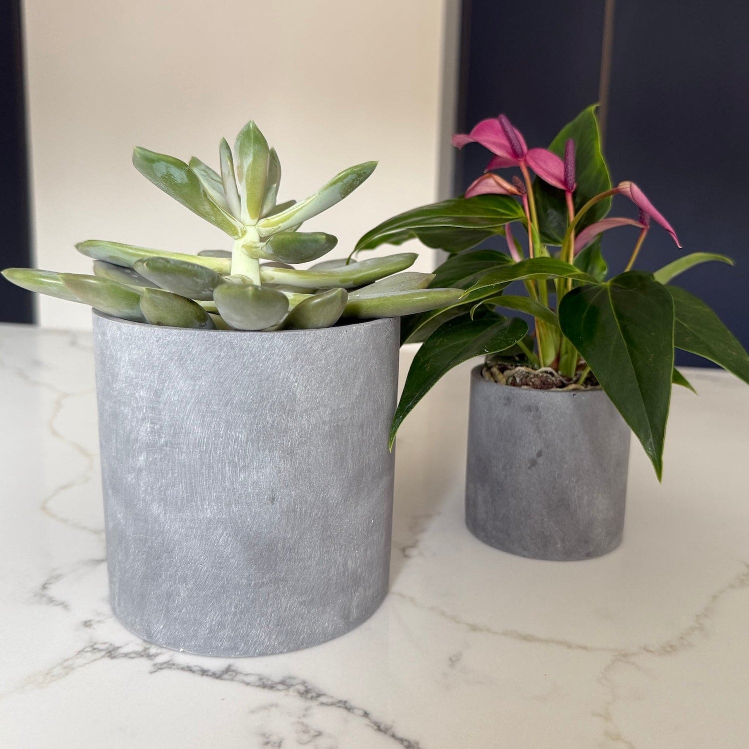 Aurello | Brushed Grey Stone Resin Indoor Plant Pots (Set of 2)
