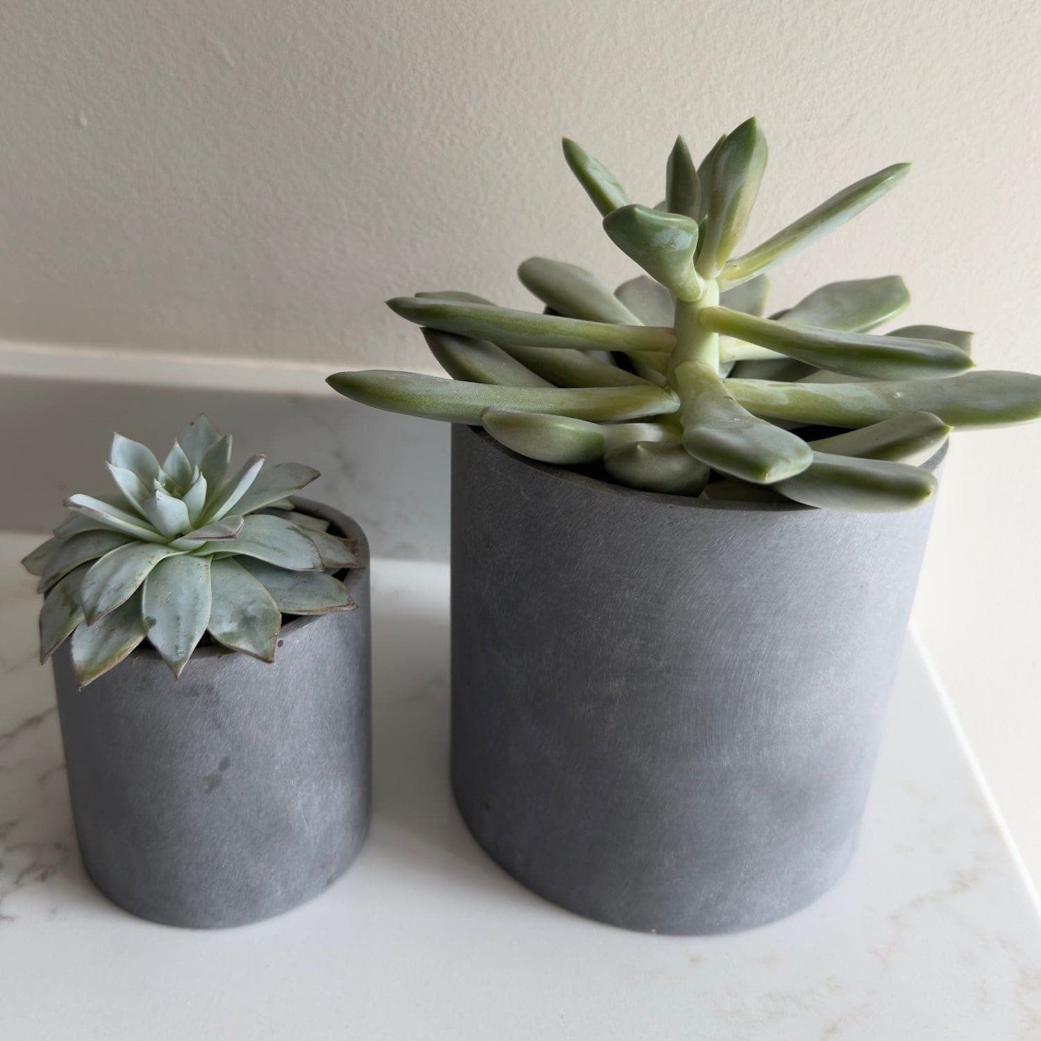 Aurello | Brushed Grey Stone Resin Indoor Plant Pots (Set of 2)