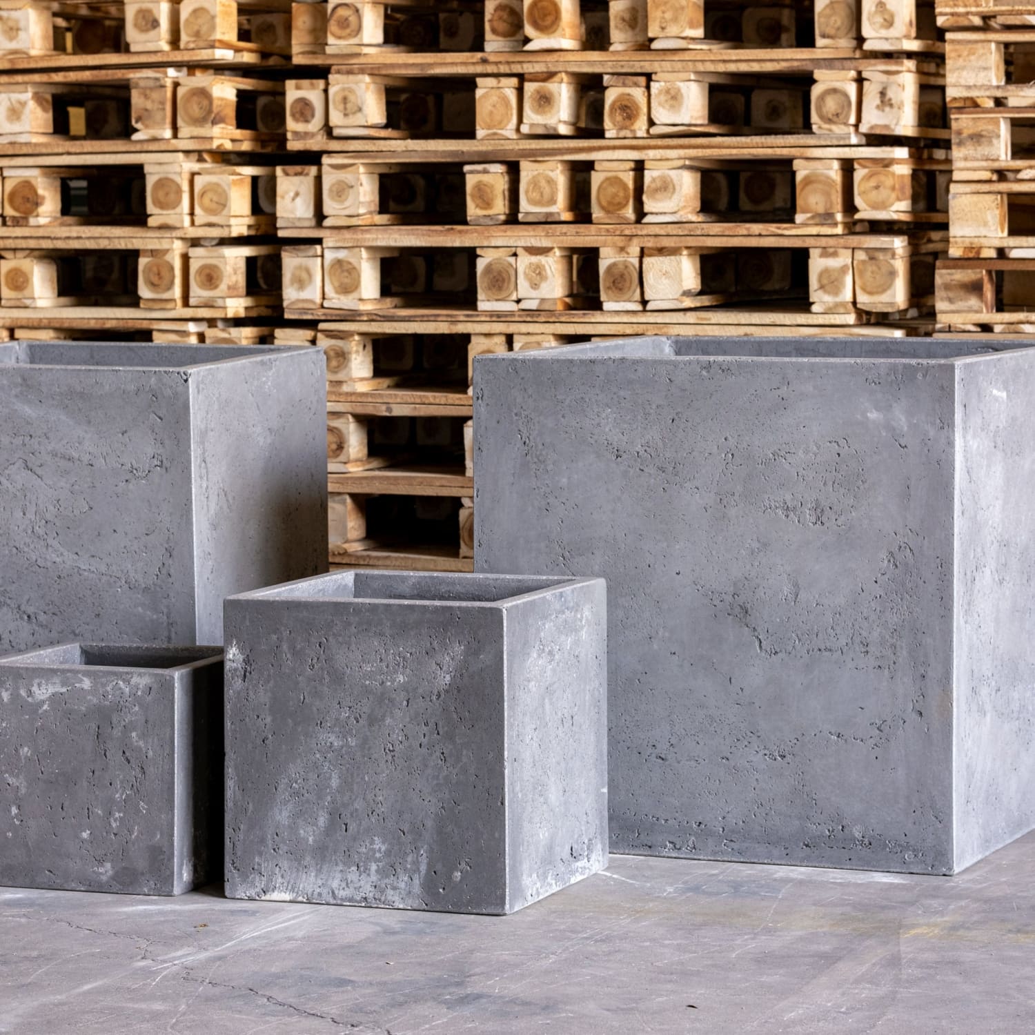 Four gray concrete cube planters.