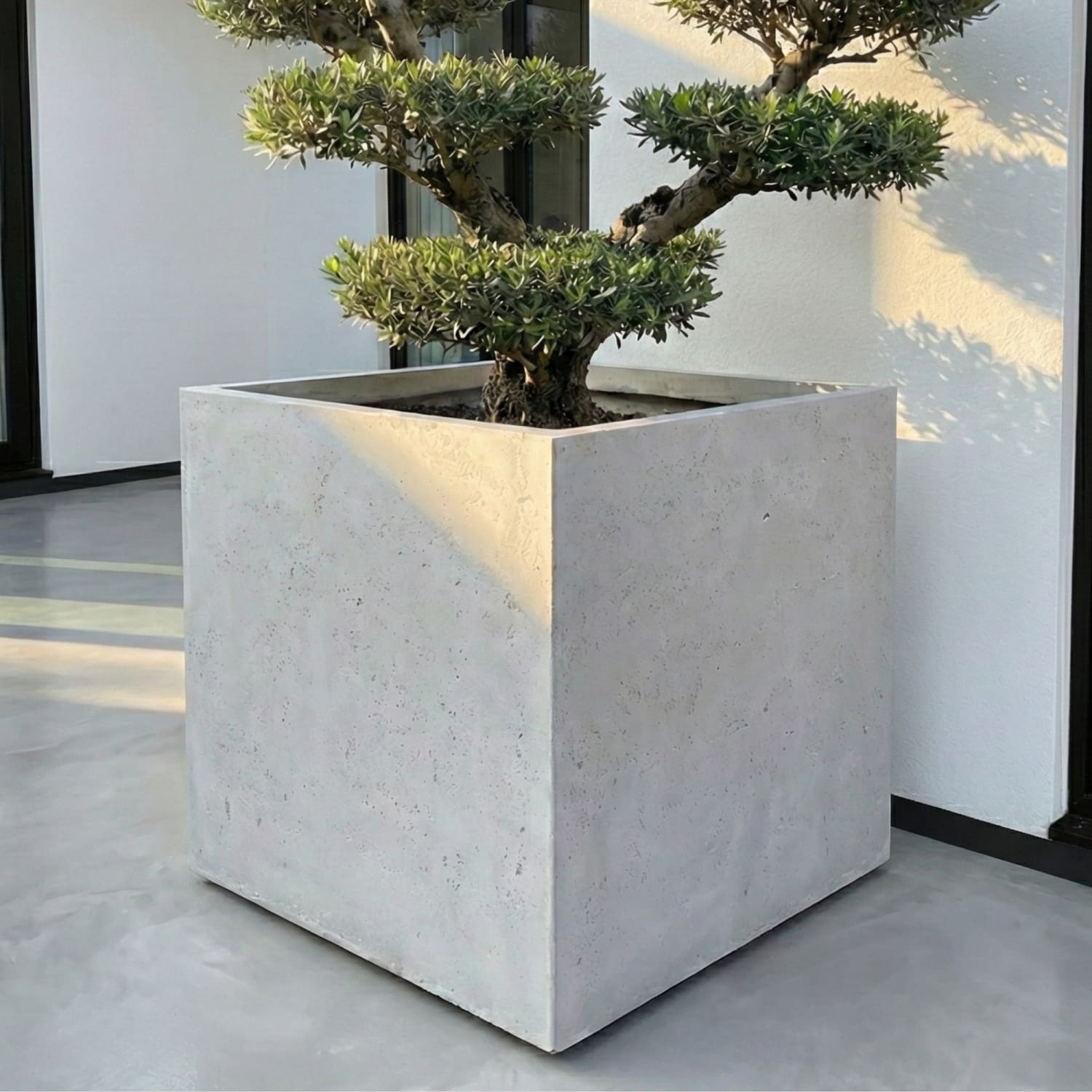 Cubrosa | White Mist – 100cm XXL Square Concrete Planter – 782L Large Outdoor Plant Pot