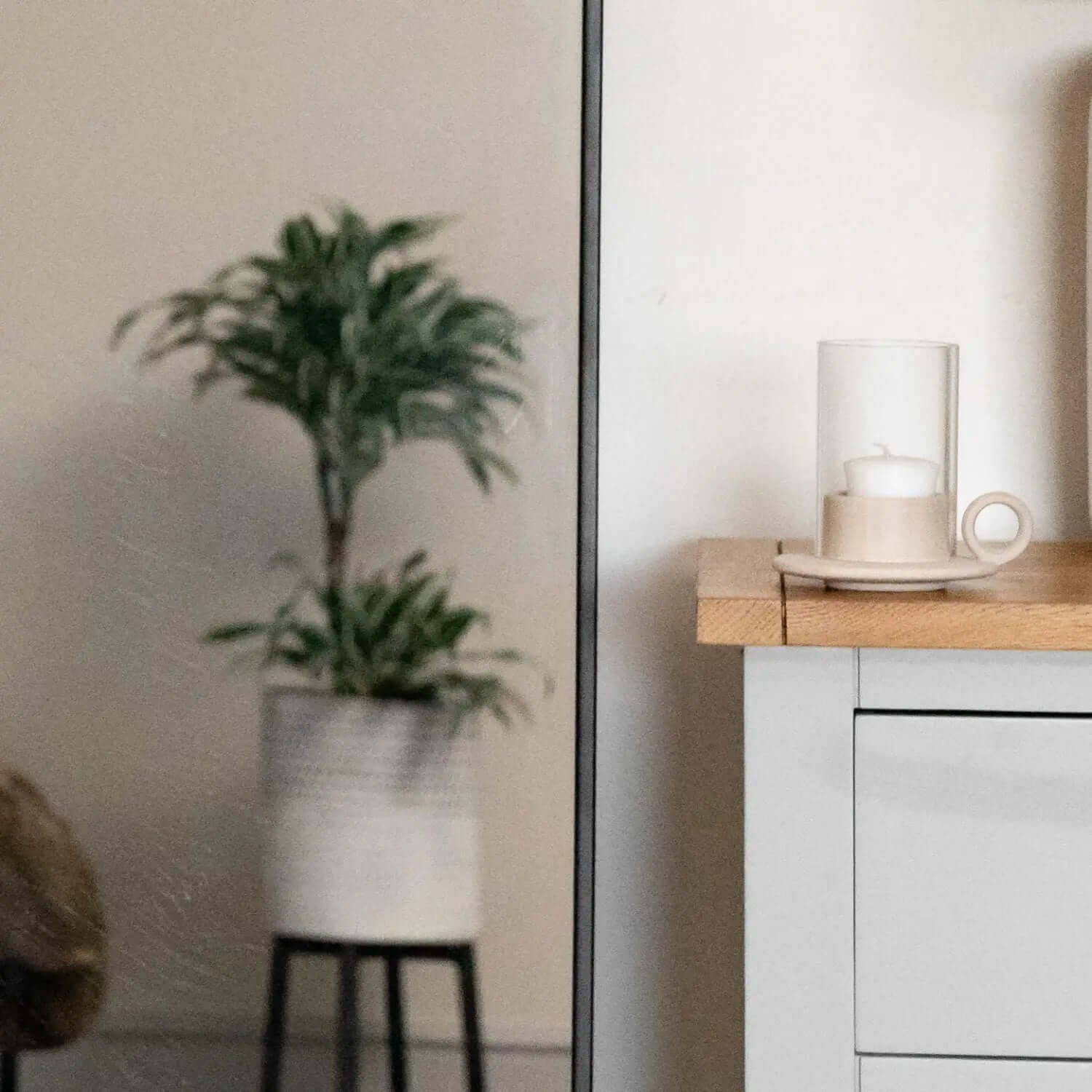 Potted palm plant in a white cylindrical container on a black stand.