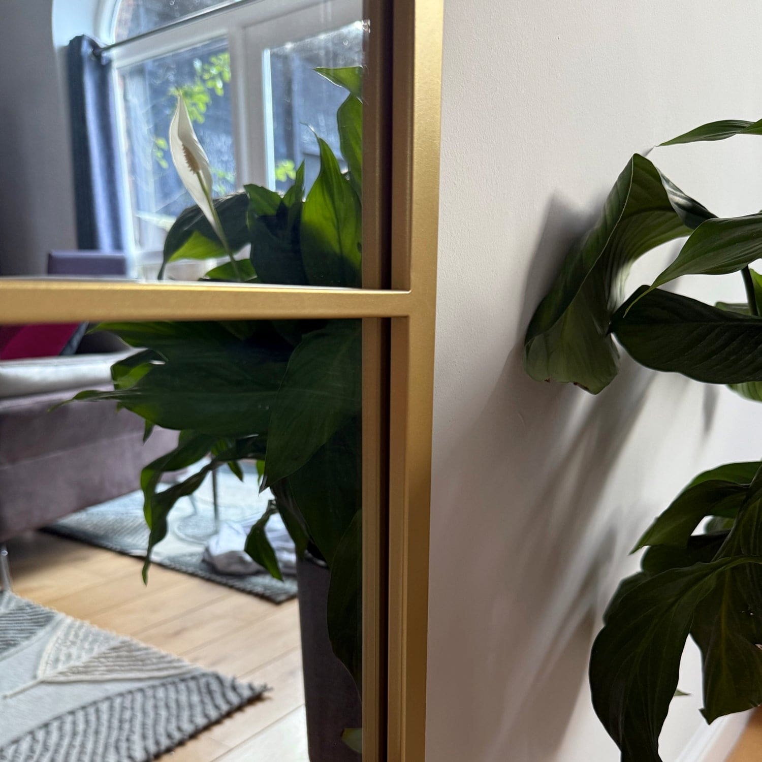 Gold-framed mirror reflecting a living room and plant.