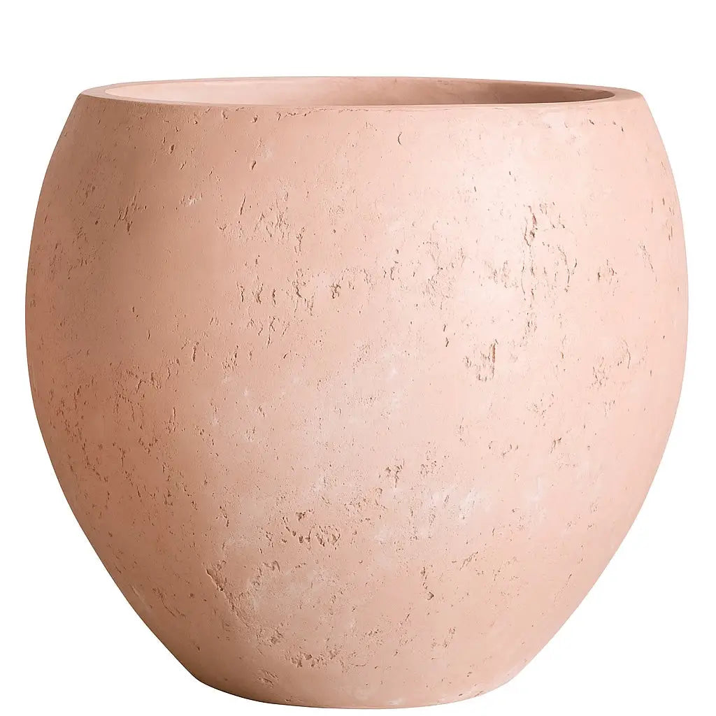 Round terracotta planter.