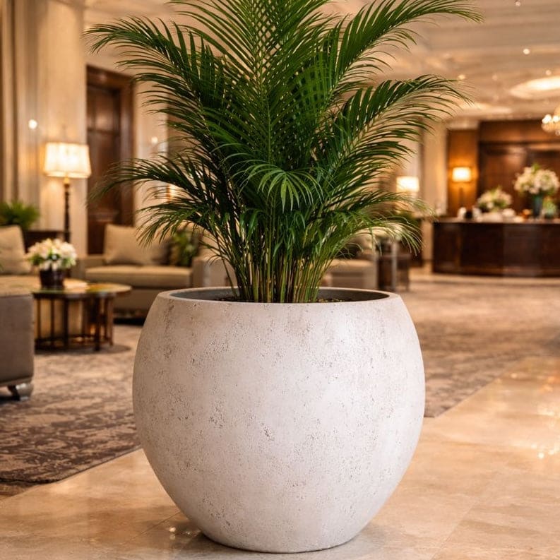 Orbello | Truffle – 70cm Extra Large Concrete Sphere Planter – 207L Round Plant Pot