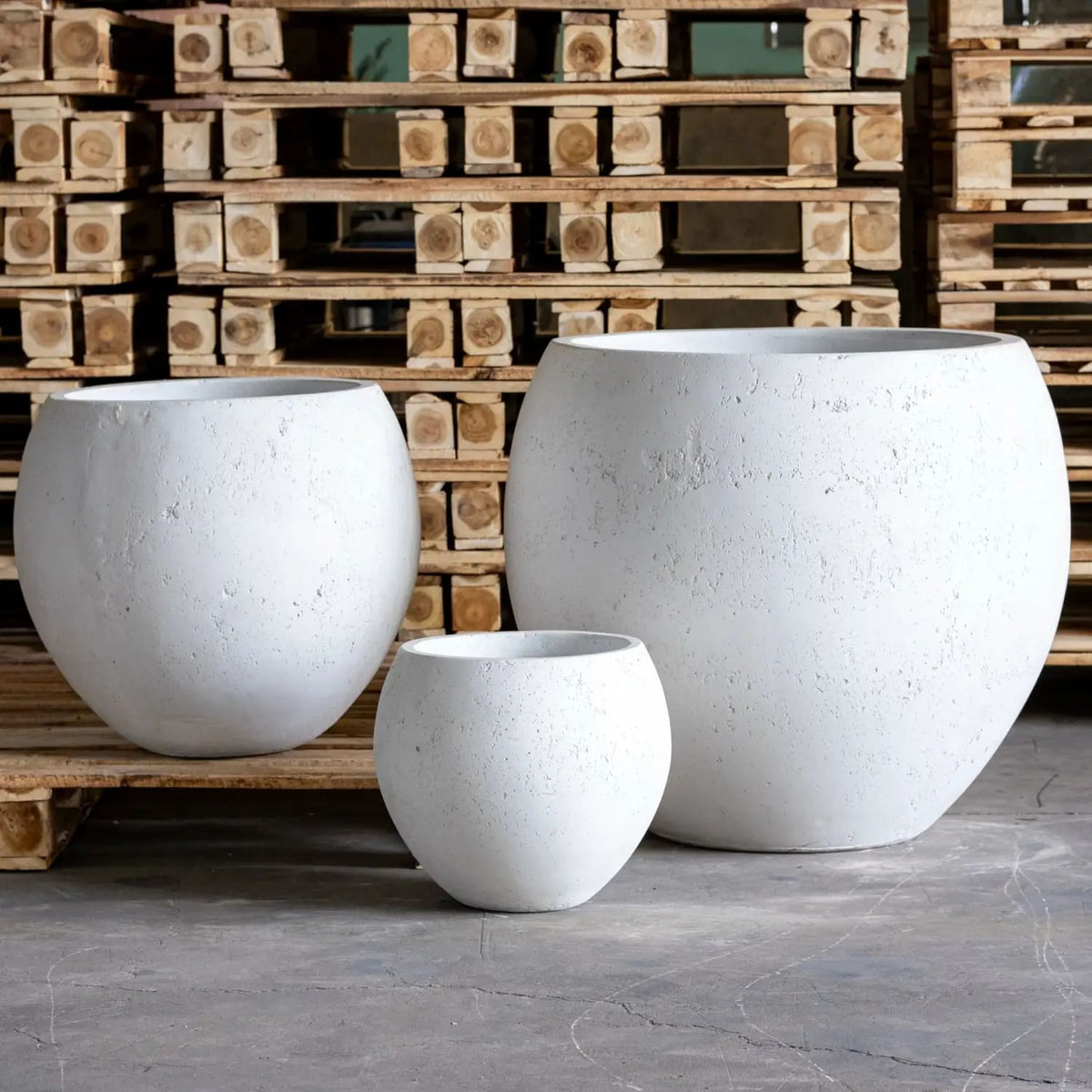 White Mist Medium Sphere Planter for Compact Trees