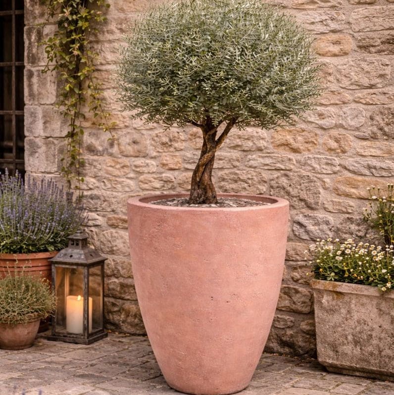 Vessara | Blushstone – 100cm XXL Concrete Vase Planter – 172L Tall Plant Pot