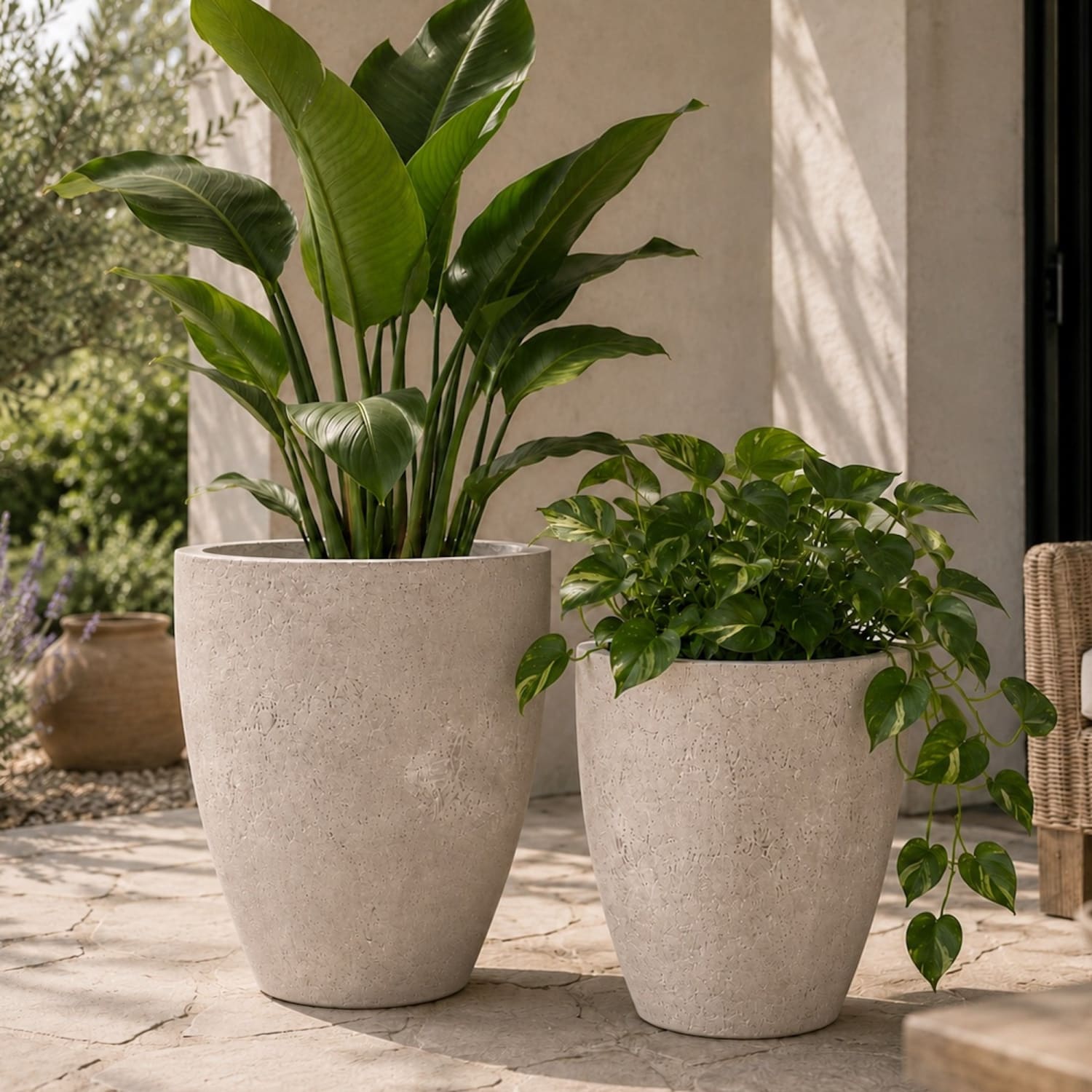 Vessara | Set Of 2 - Truffle – Concrete Vase Planter Set – Vase Plant Pot Nest