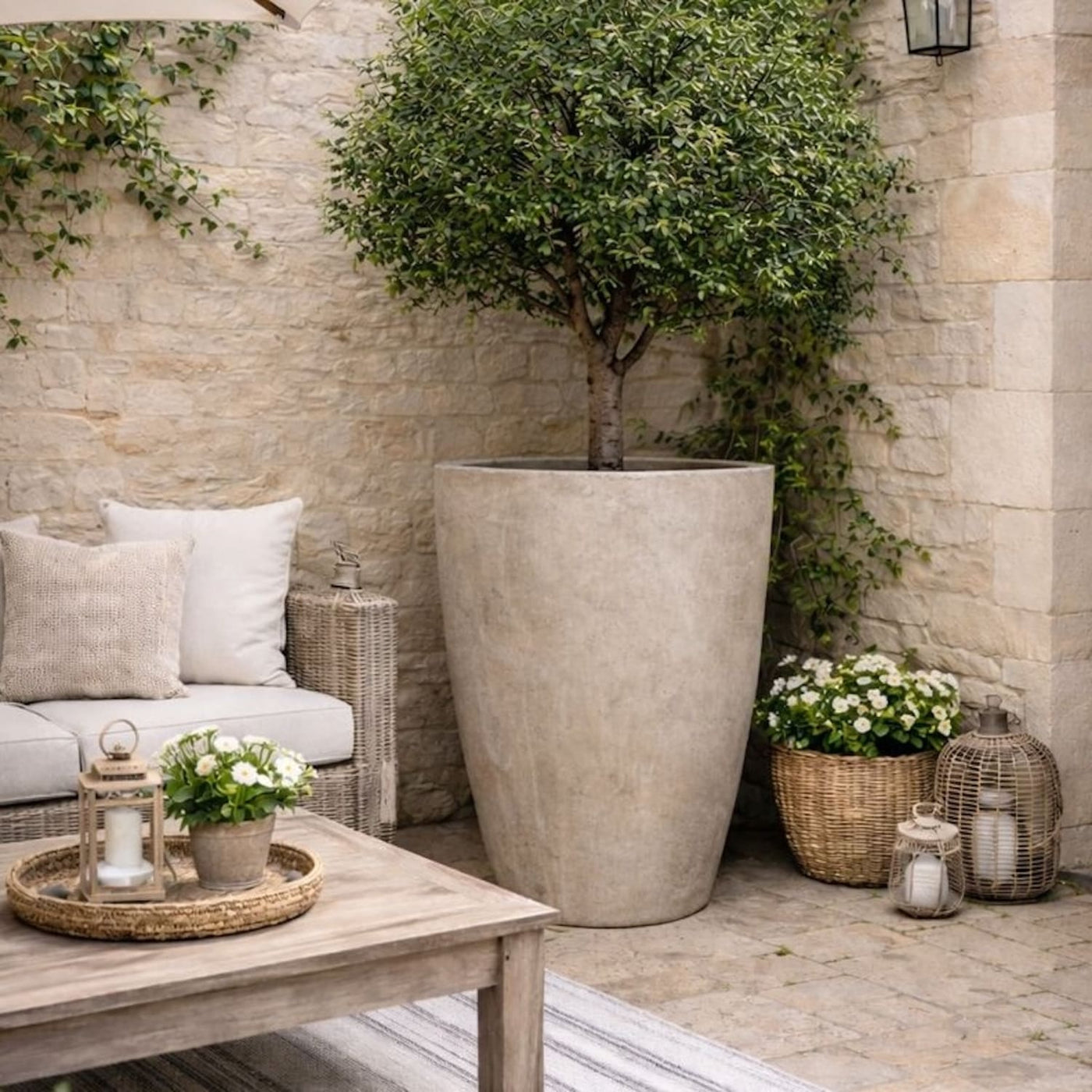 Tall planter in courtyard